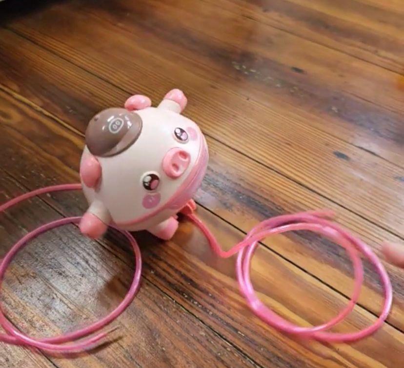 Tightrope Walking Tumbler Pig